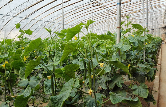 ������ʱ�������ǲ���(�й���)�ٷ���վ