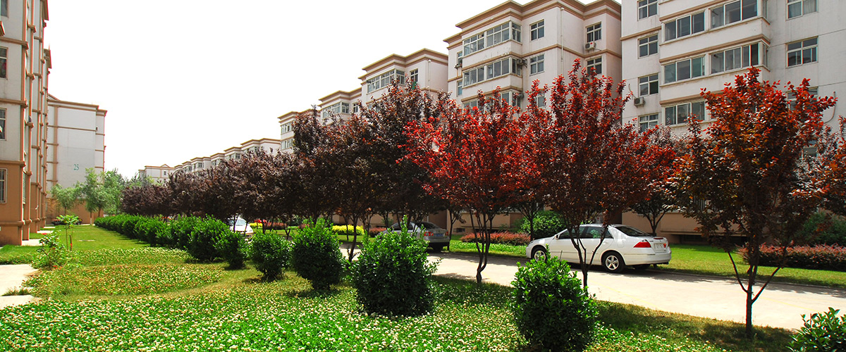 �ӱ�������ʱ���ز������������޹�˾