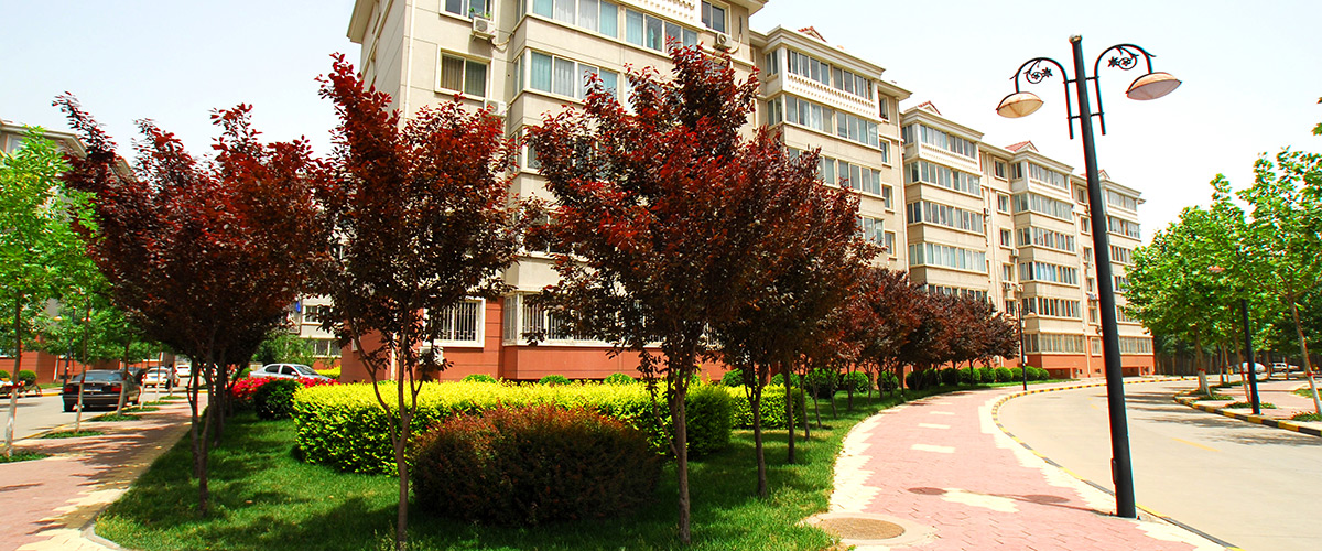 �ӱ�������ʱ���ز������������޹�˾