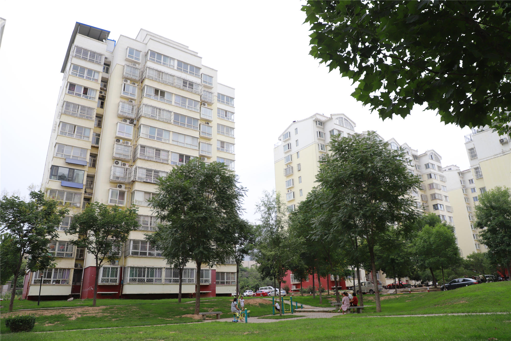 ������ɽͥԺ